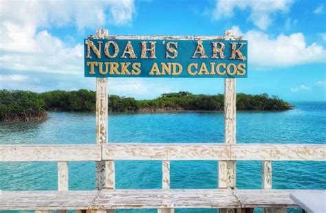 Noah's ark turks and caicos. About. We have 20 years of experience working around the beautiful waters of the Turks and Caicos with some of the best equipment and jetskis on the island. Enjoy your stay as we look after your safety. £239.86. Lowest price guaranteeReserve now & pay laterFree cancellation. Ages 0-120, max of 20 per group. 