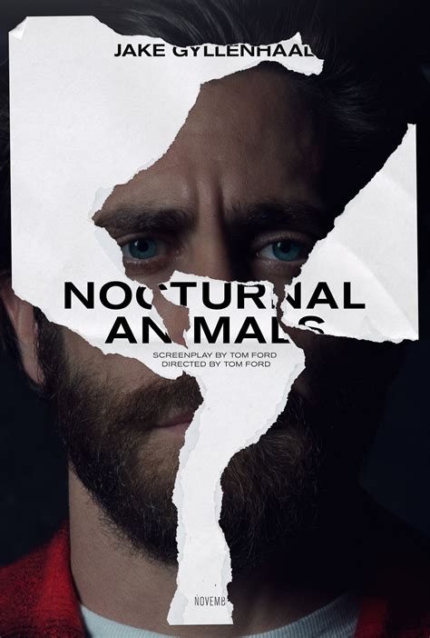 Nocturnal Animals Rotten Tomatoes. 