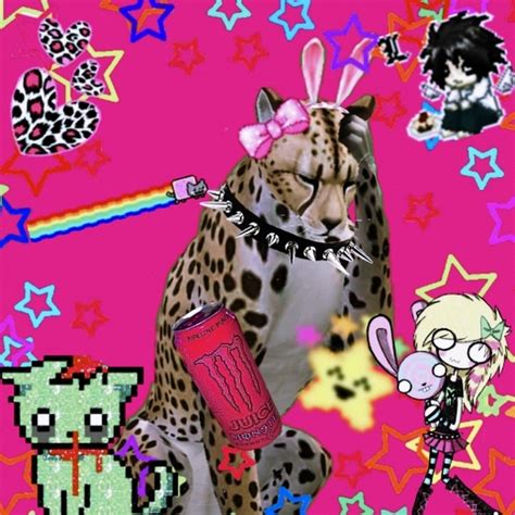 🍌 Nocturnekitty (Cyps.Soles) Leaked XxX