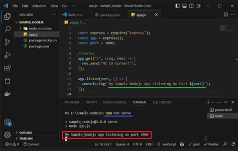 Node run server.  Whether you&rsquo;re a beginner or an experienced Then go to your Vi...