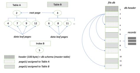 Node sqlite3 documentation.  Featuring solid transaction support, relations, eager ...