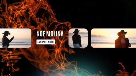 Noe Molina Leaks XXX 102 Vids