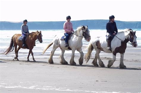 Nolton Stables Weddings & Accommodation Wales - Home