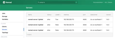 Nomad server.  Note: Nomad dev agents do behave slightly different than ...