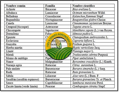 Nombres comunes de las plantas en costa rica. - The raid manual a relentlessly positive approach to working with.