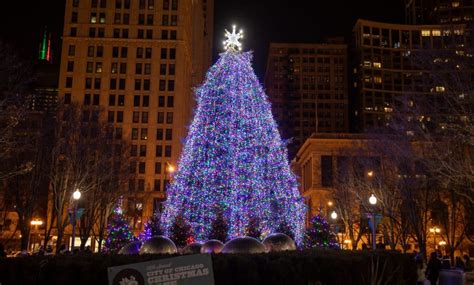 Nominations open for Chicago's 2023 Christmas Tree in Millennium Park