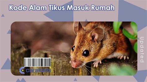 Nomor hk yang sudah keluar. Kode alam tikus masuk rumah.