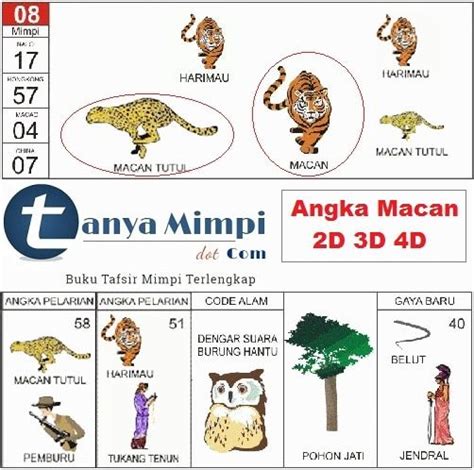 Nomor yg keluar hari ini c rumus togel. Mimpi di kejar harimau.