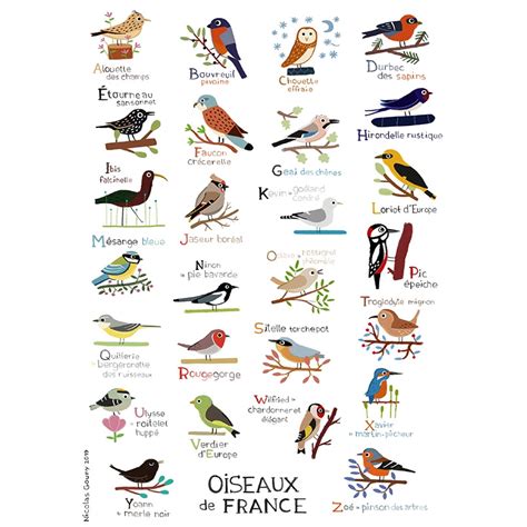 Noms français des oiseaux d'amérique du nord. - Manuale di servizio per mietitrebbie claas.