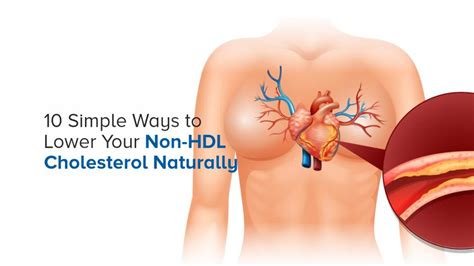 Non HDL cholesterol How to lower it naturally