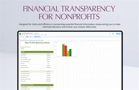 Non Profit Balance Sheet Template Download in Word, Google Docs