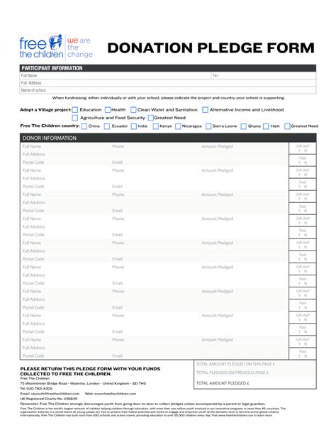 Non Profit Donation Pledge Form Template PDF Template