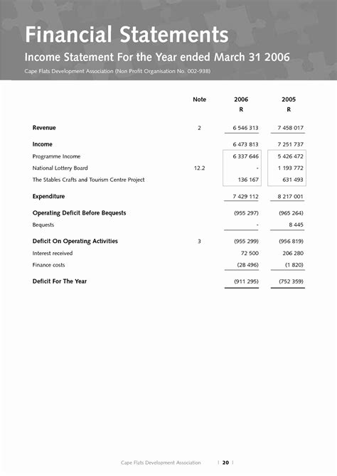 Non Profit Financial Statement Template Excel Templates