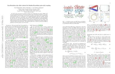 Non-Hermitian skin effect induced by Rashba-Dresselhaus spin …