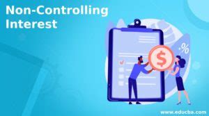 NonControlling Interest Types and Criteria with Example