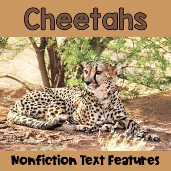 Nonfiction Text Features Cheetahs Nonfiction Texts Nonfiction Text Features Nonfiction Passages