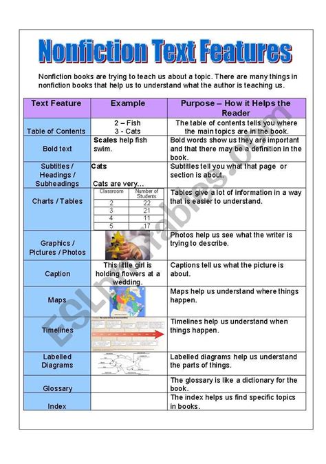 Nonfiction Text Features ESL worksheet by achan2