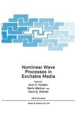 Nonlinear Wave Processes In Excitable Media 1st Edition