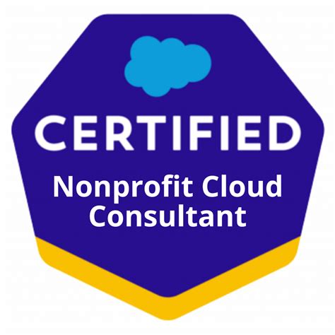 Nonprofit-Cloud-Consultant Dumps