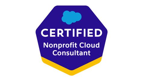 Nonprofit-Cloud-Consultant Zertifikatsdemo