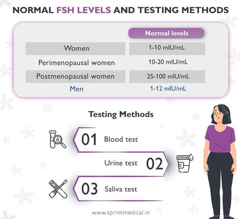 Normal FSH Levels and Testing Methods in 2023 Follicle stimulating