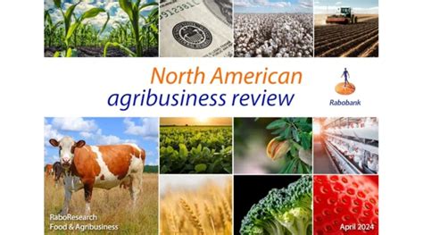 North American Agribusiness Review October 2024