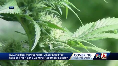 North Carolina medical marijuana bill likely dead for this year, House speaker says