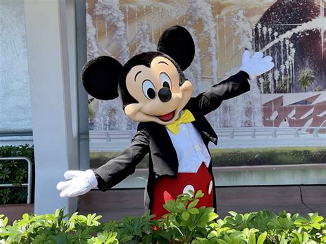 North Carolina senator wants Disney World to move to the Tar Heel State