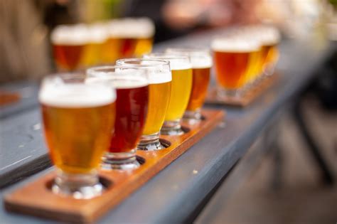 North County drinking spot named best brewery in California: Yelp