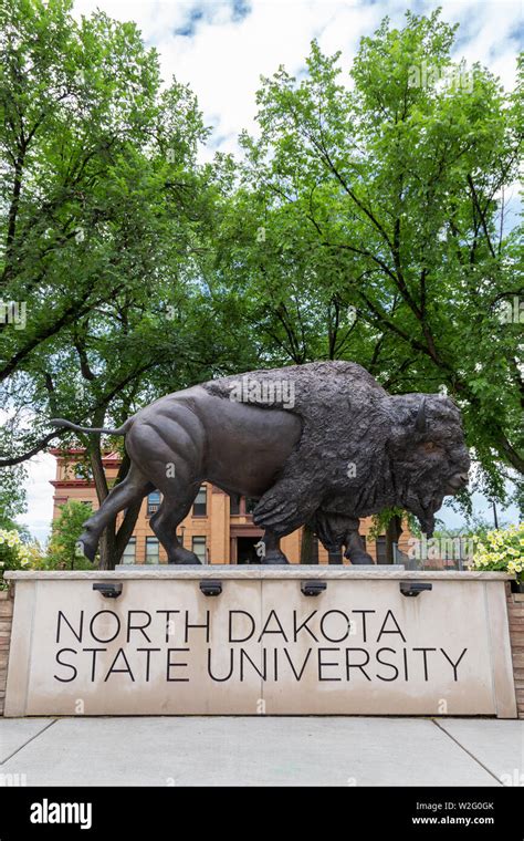 North Dakota State University Salaries in Fargo, ND Glassdoor