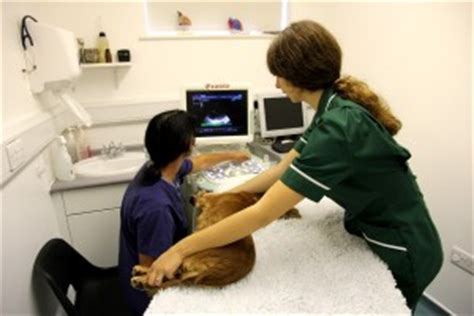 North Downs Veterinary Group - Milford Clinic