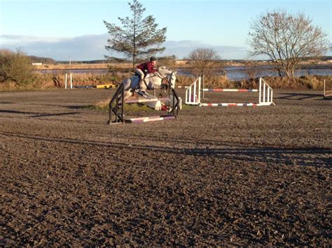 North East Fife Riding Club - Facebook