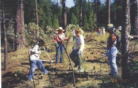 North Fork Mono Meadow Restoration, Fire, and Water: The Tribe…