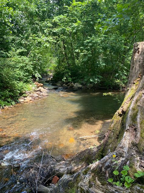 North Fork Swannanoa River Fishing near Swannanoa, …