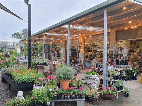 North Tivoli Nursery Ipswich QLD - Facebook