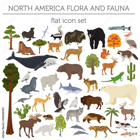 Changing Patterns in the Number of Species in North American Floras: Estimated Size of the Flora for Areas of 1,000 and 1,000,000 ha in 1900 and 1996; Estimated Proportion (Percentage) of the Flora Consisting of Exotic Species for Areas of 1,000 and 1,000,000 ha in 1900 and 1996. 