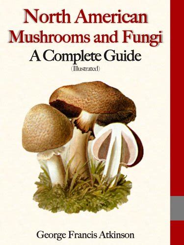 North american mushrooms and fungi a complete guide illustrated kindle. - Yamaha xtz 750 service repair manual download.