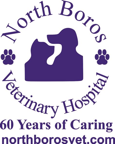 Receptionist/Vet Assistant at North Boros Veterinary Hospital Grea