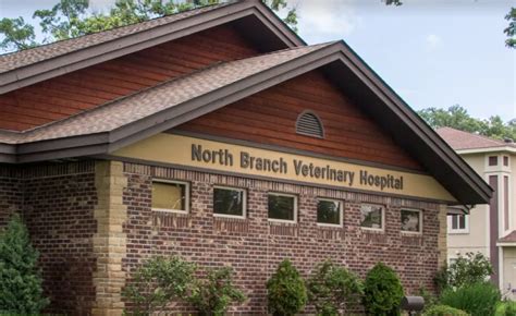North branch vet. Things To Know About North branch vet. 
