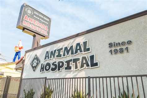North figueroa animal hospital. Things To Know About North figueroa animal hospital. 