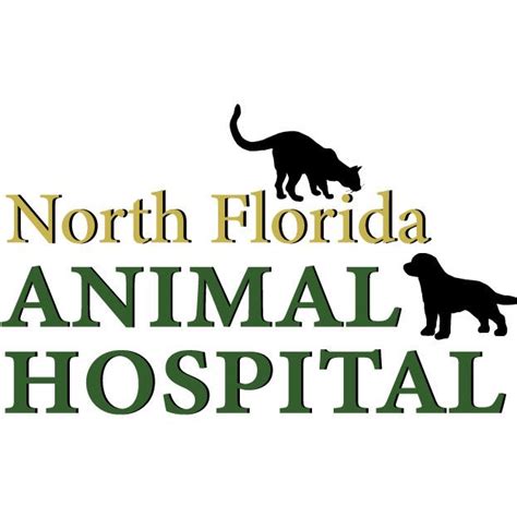 North florida animal hospital. Things To Know About North florida animal hospital. 