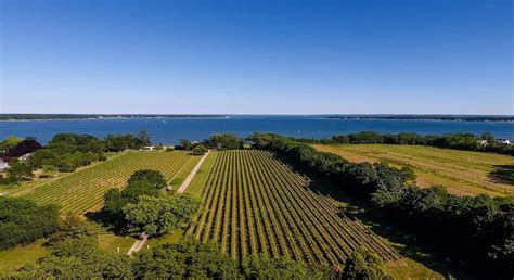 The best Long Island wineries to visit feature gorgeous tasting rooms, special events like live music, and plenty of perfect picnic spots. Vineyards have dotted the north and south forks since .... 