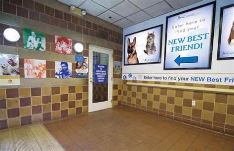 North shore animal shelter. Things To Know About North shore animal shelter. 