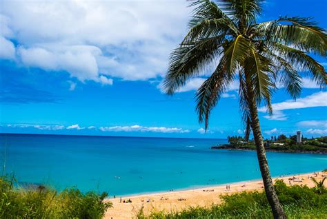 North shore oahu beaches. The North Shore of Oahu is home to some of the most famous Hawaii beaches. You can easily visit a few in one day or spread them out throughout your trip. 1. Waimea Bay Beach Park. There are … 