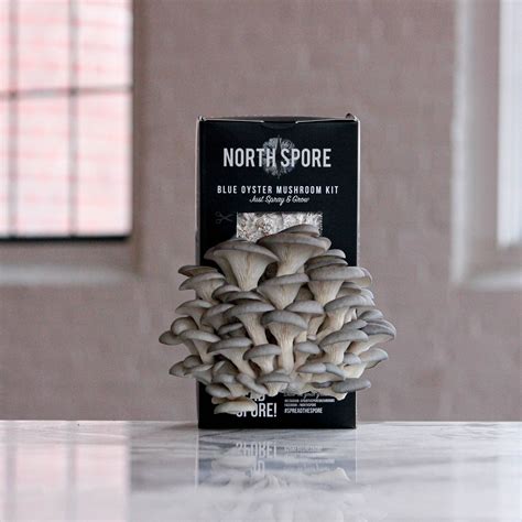 North spore mushrooms. 4-Pack 'Boomr Bin' Mushroom Monotub. $220.00$176.00. Buy Now. Start growing your own dung-loving edible or medicinal mushrooms indoors! Our beginner-friendly monotub kit makes mushroom growing easy. Created by mycologists, this complete starter kit is equipped with everything you need to grow mushrooms at home. 