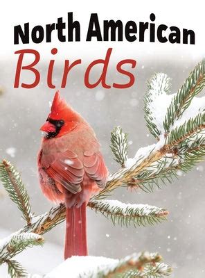 Full Download North American Birds By Lasting Happiness