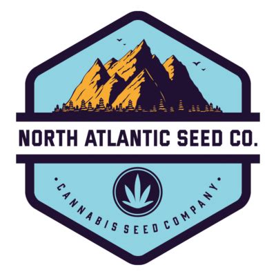 Northatlantic seed. Things To Know About Northatlantic seed. 