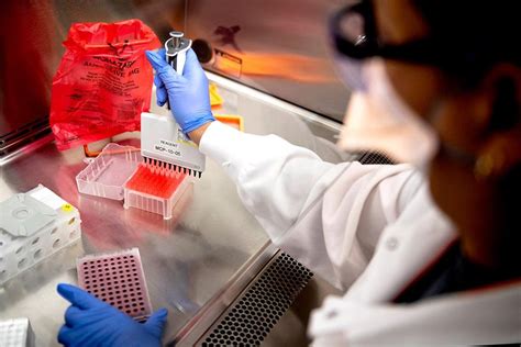 Northeastern university biotechnology