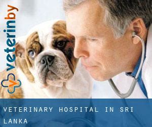 Northern Animal Clinic - Veterinarian in Sri Lanka