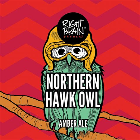 Northern Hawk Owl - American Amber / Red Ale - Right Brain …